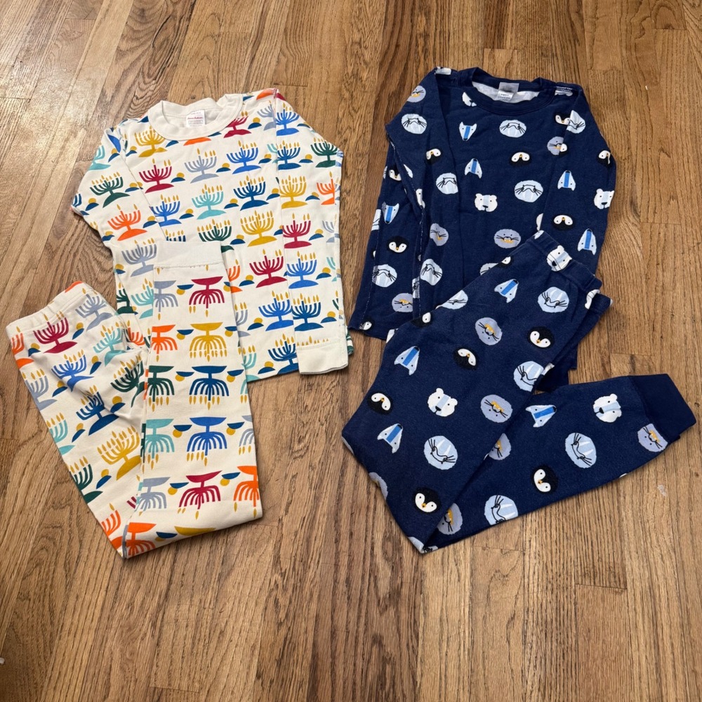 Hanna Andersson Kids 10 Organic Cotton Pajamas Set Hanukkah Arctic Animals 140cm